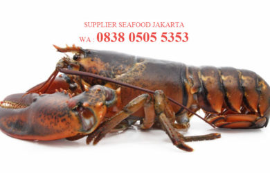 Agen Seafood Jakarta Yang Rekomen