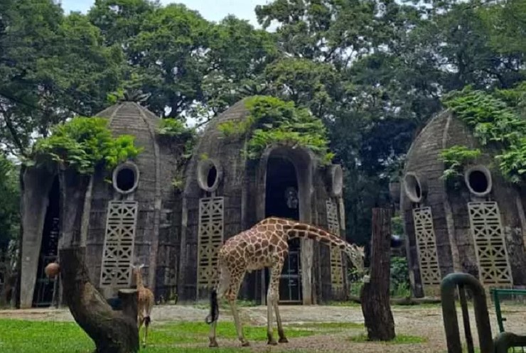 tiket masuk ragunan