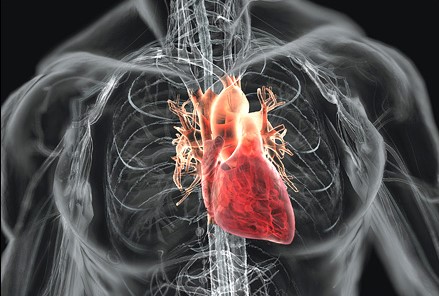 Cara Menjaga Kesehatan Jantung dengan mudah dan sederhana agar selalu sehat