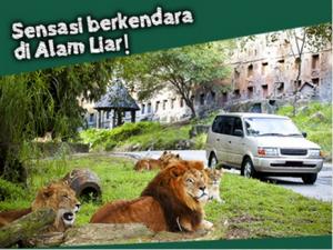 Harga Tiket Taman Safari Cisarua Bogor saat ini mei 2015