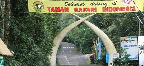 Harga Tiket Taman Safari Cisarua Bogor saat ini mei 2015
